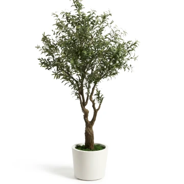 Искусственное дерево Artificial Olive в белом горшке, 210 см