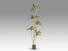 Dracena roja Искусственное растение H220
