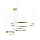 Подвесной светодиодный светильник Loft IT Ring 10017/4S