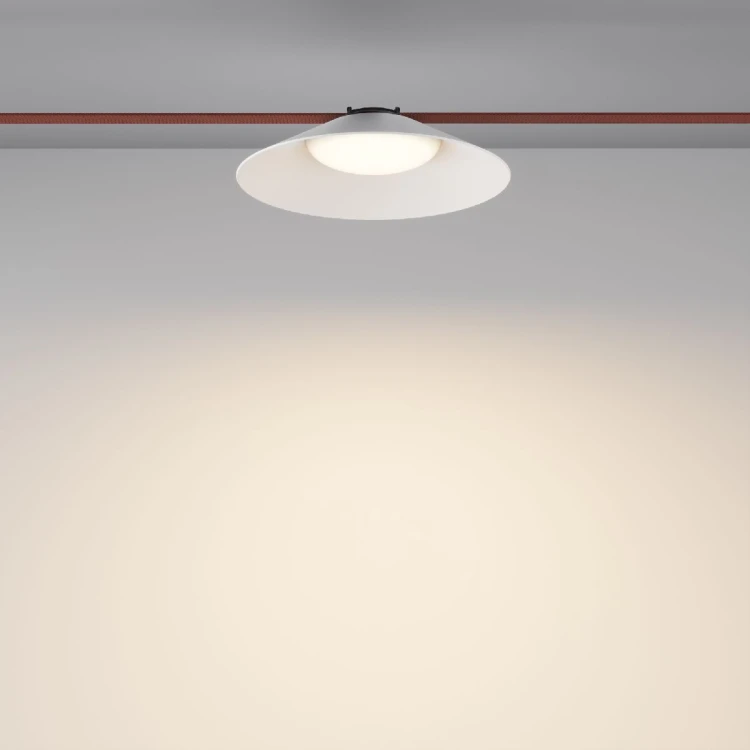 Трековый светильник Maytoni Campana TR127B-12W3K-W - 