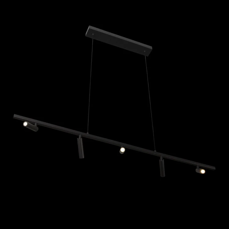 Подвесной светильник Loft IT Sign 10260/5 Black - 
