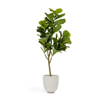 Flower Искусственное растение листовой скрипки 145см Flower Искусственное растение листовой скрипки 145см
