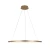 Подвесной светодиодный светильник Loft IT Ring 10014L