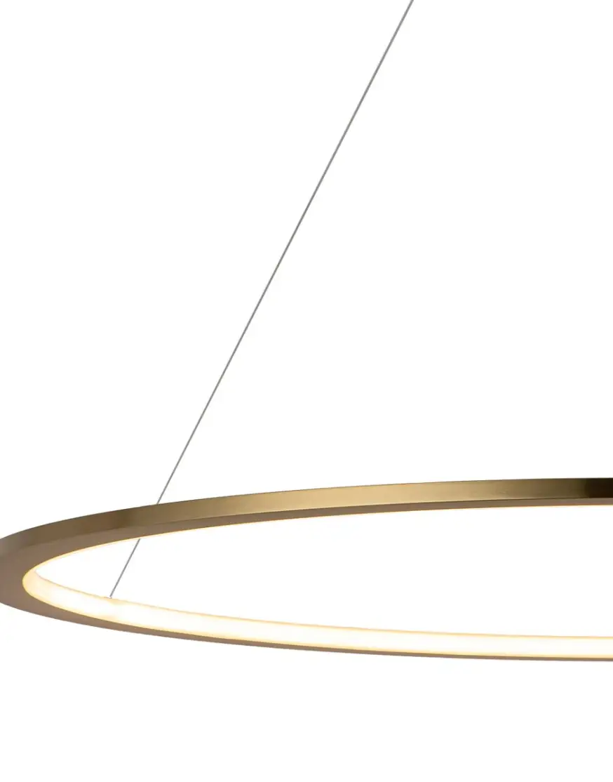 Подвесной светодиодный светильник Loft IT Ring 10014L