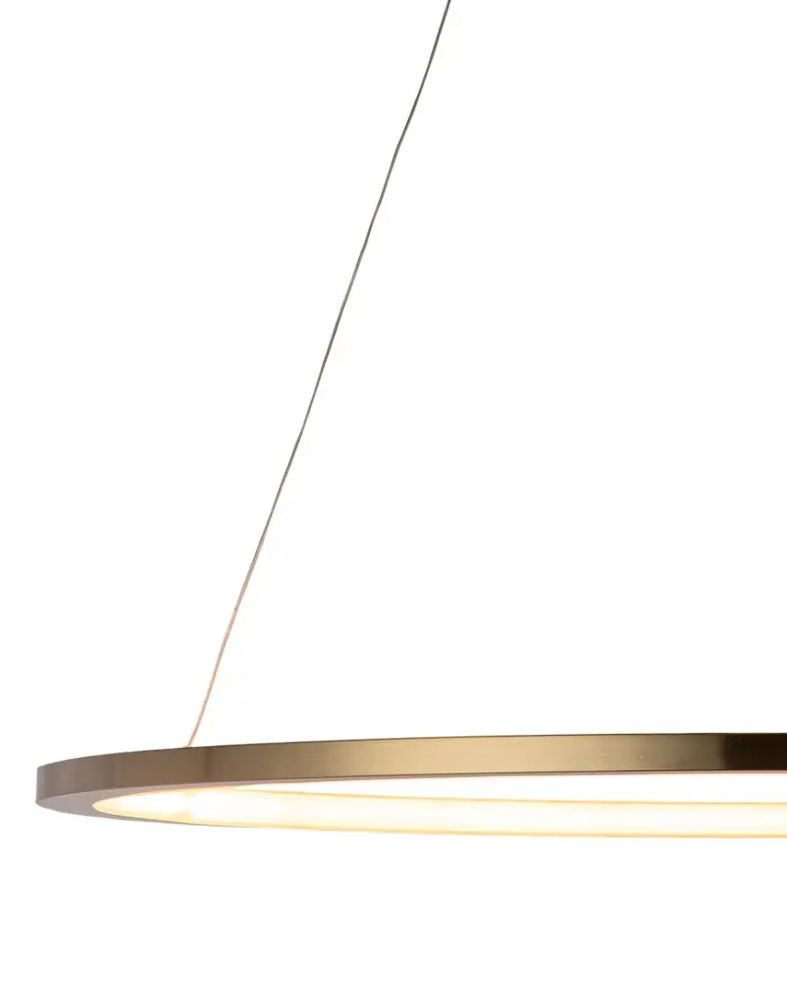 Подвесной светодиодный светильник Loft IT Ring 10014L