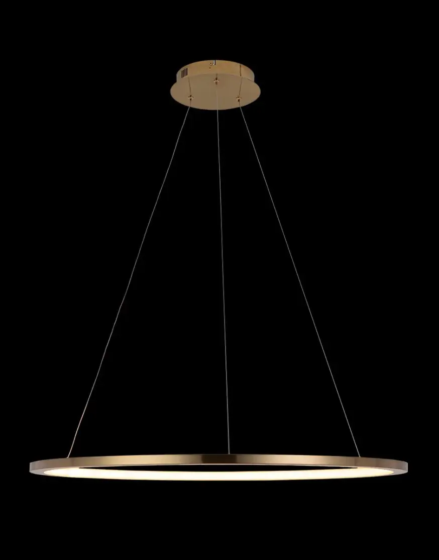 Подвесной светодиодный светильник Loft IT Ring 10014L