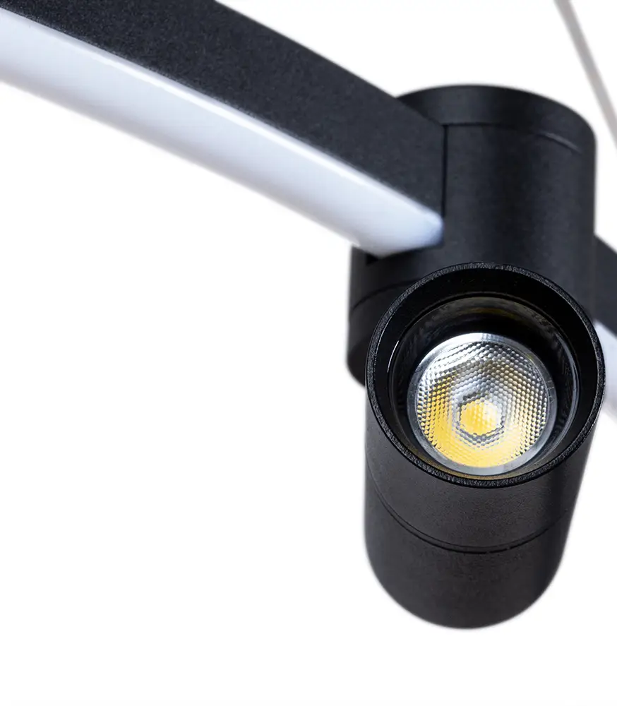 Подвесная люстра Arte Lamp Ring A2186SP-1BK