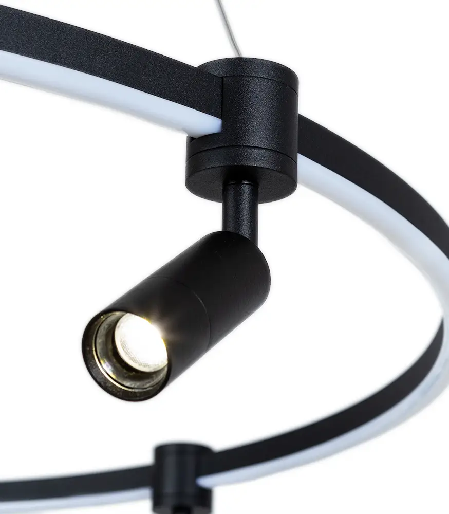 Подвесная люстра Arte Lamp Ring A2186SP-1BK