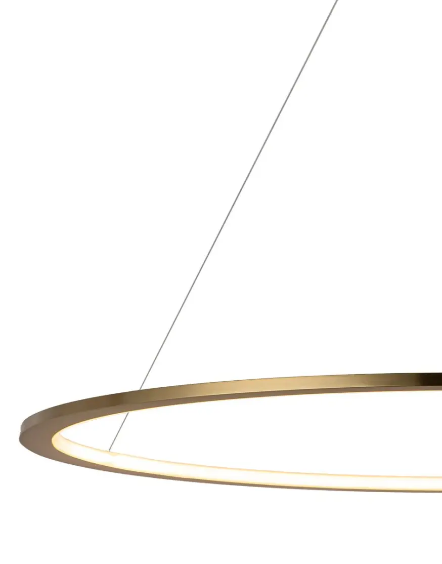 Подвесной светодиодный светильник Loft IT Ring 10014XL
