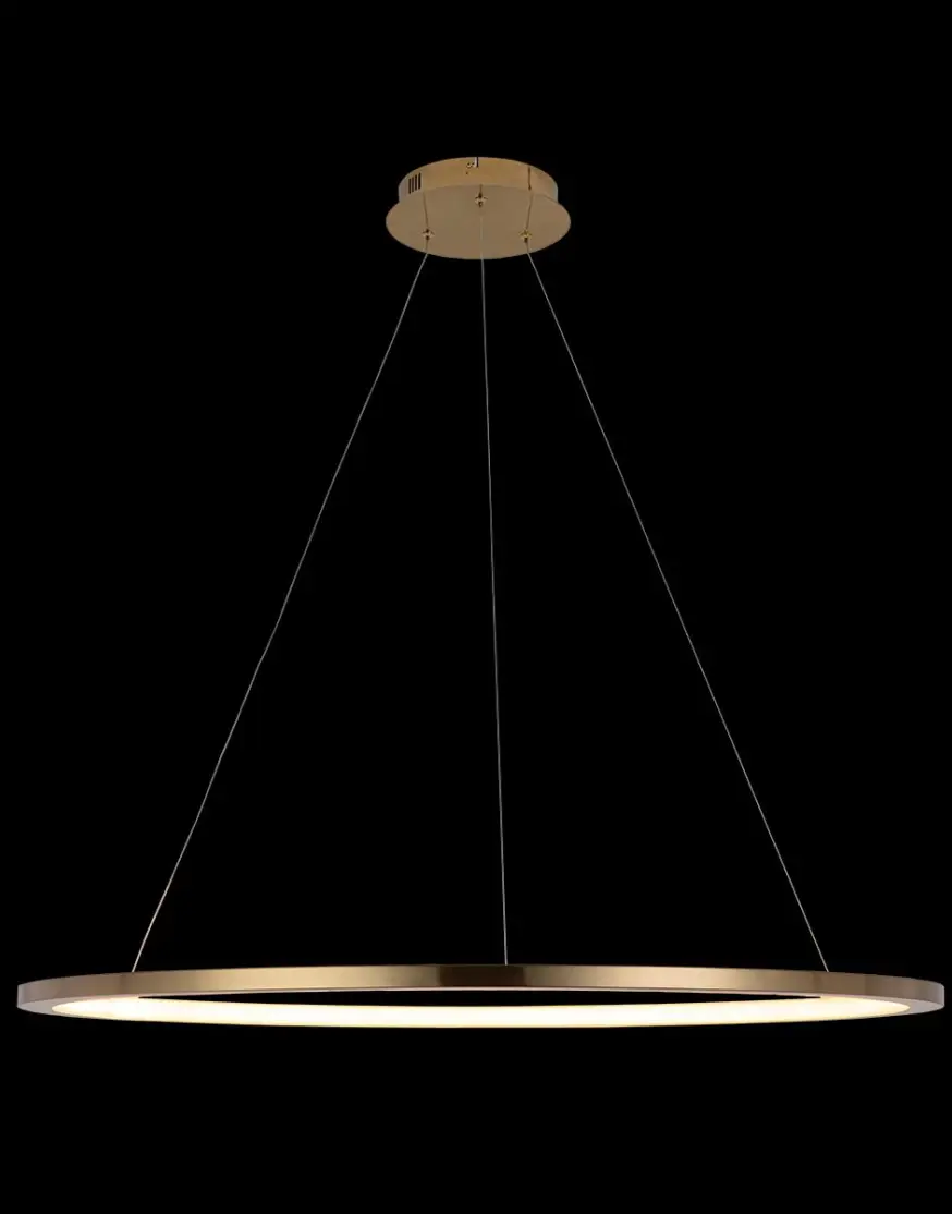 Подвесной светодиодный светильник Loft IT Ring 10014XL