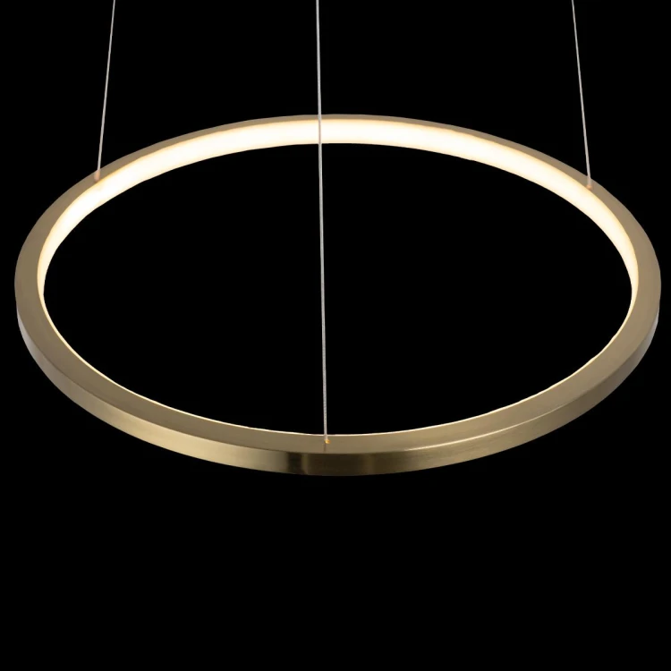 Подвесной светодиодный светильник Loft IT Ring 10014S