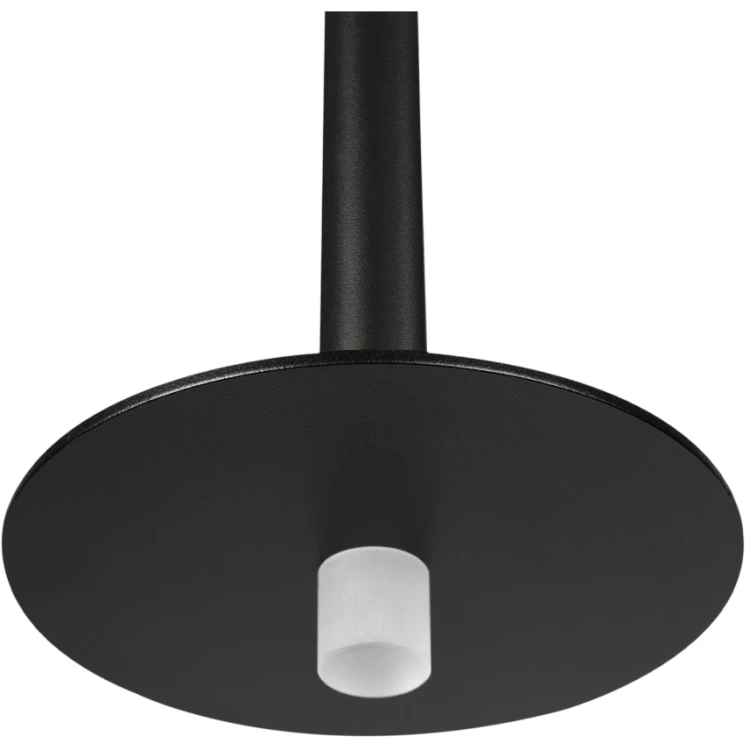 Подвесной светильник Loft IT Reed 10358/830 Disk
