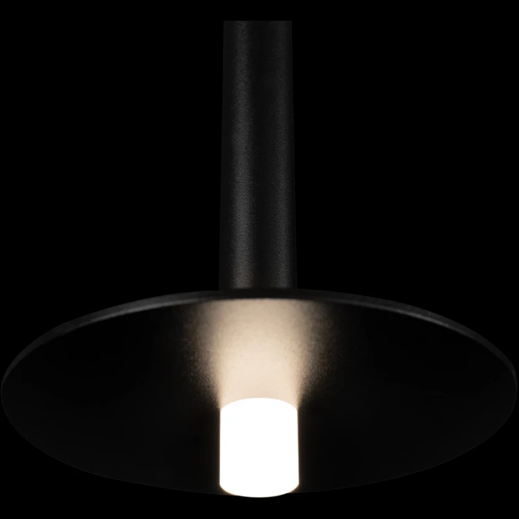 Подвесной светильник Loft IT Reed 10358/830 Disk