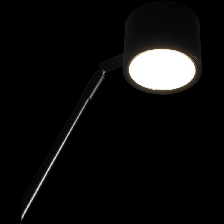 Торшер Loft IT Sampei 10374/2000