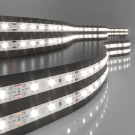 Светодиодная лента Elektrostandard 4,8W/m 60LED/m 2835SMD дневной белый 5M 4690389169267 a052954