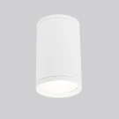 Уличный потолочный светильник Elektrostandard Light 4690389175893