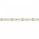 Светодиодная лента Arlight 17W/m 168LED/m 2835SMD дневной белый 5M 019094(2)
