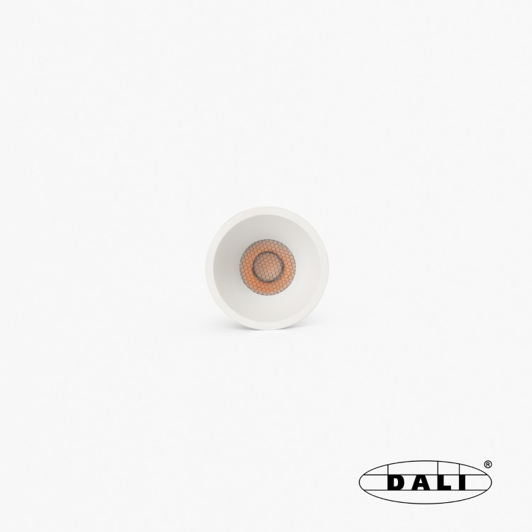 Tulipa Белый встраиваемый даунлайт 10W 36° 2700K CRI90 DALI