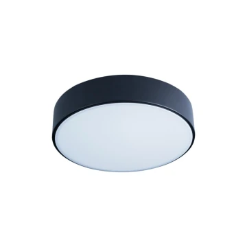 Потолочный светильник Loft IT AXEL 10002/12 Black