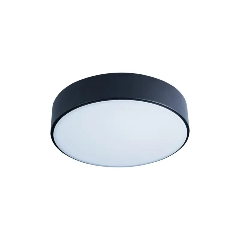 Потолочный светильник Loft IT AXEL 10002/12 Black - 