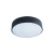Потолочный светильник Loft IT AXEL 10002/12 Black - 