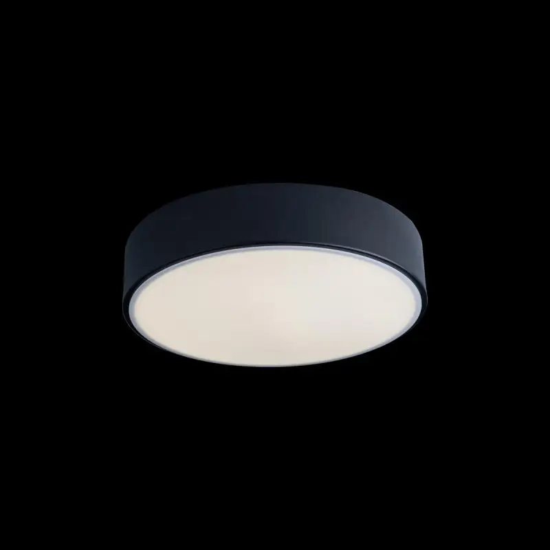 Потолочный светильник Loft IT AXEL 10002/12 Black - 