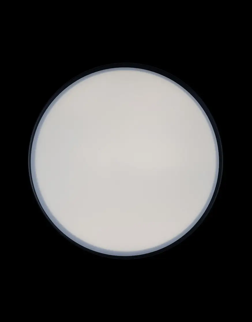 Потолочный светильник Loft IT AXEL 10002/12 Black - 