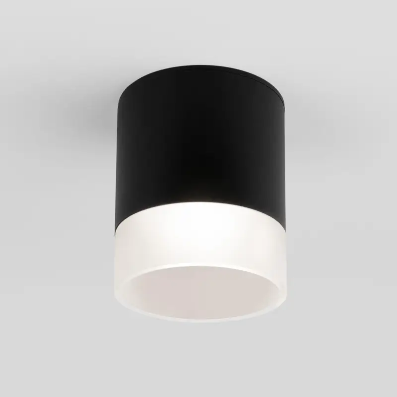 Уличный потолочный светильник Elektrostandard Light LED 4690389177941