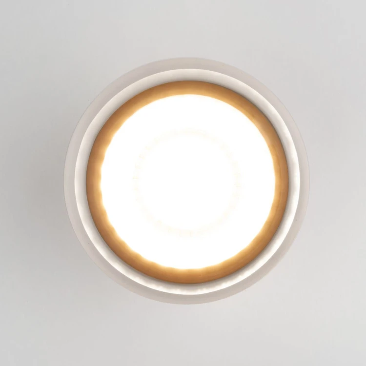 Уличный потолочный светильник Elektrostandard Light LED 4690389177941