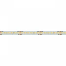 Светодиодная лента Arlight 19,2W/m 240LED/m 3528SMD теплый белый/белый 5M 025210(2)