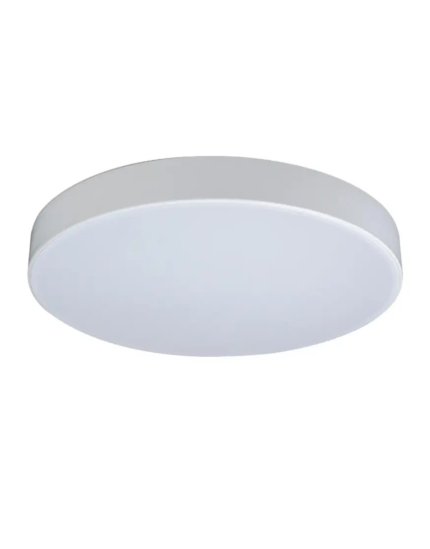 Потолочный светильник Loft IT AXEL 10002/24 White
