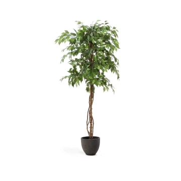 Ficus Искусственное дерево фикус в черном горшке 180 см Ficus Искусственное дерево фикус в черном горшке 180 см