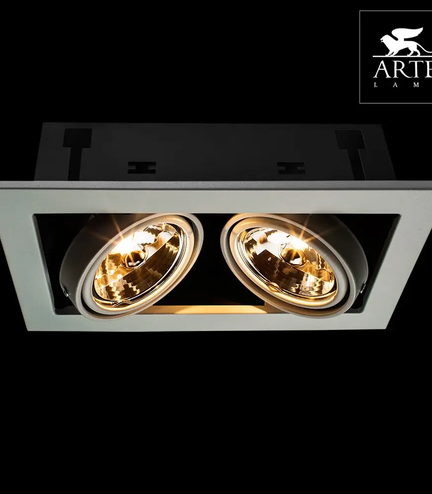 Встраиваемый светильник Arte Lamp Technika A5930PL-2WH