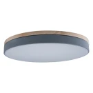 Потолочный светильник Loft IT AXEL 10001/36 Grey