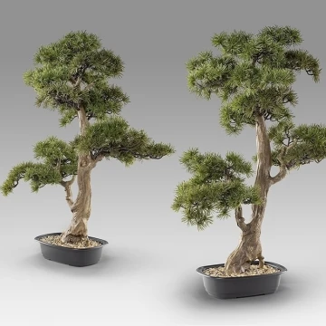 Chokkan - bonsai 83cm Искусственное растение из 2 предметов