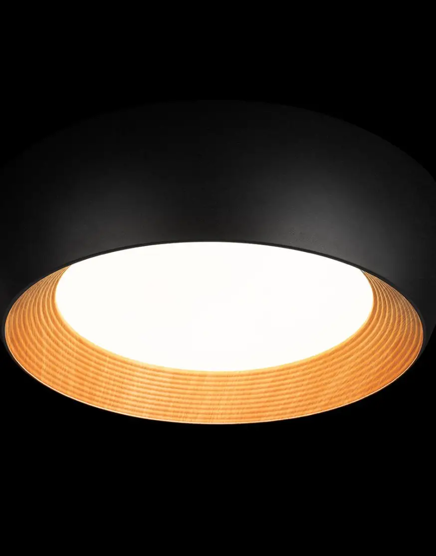 Потолочный светильник Loft IT Folk 10255/500 Black - 