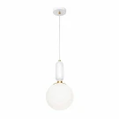 Подвесной светильник Loft IT 9975-B