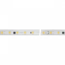 Светодиодная влагозащищенная лента Arlight 8W/m 54LED/m 5060SMD дневной белый 50M 027057(2)