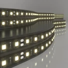 Светодиодная лента Elektrostandard 24V 14,4W 60Led 5050 IP20 теплый белый, Black, 5м 4690389172168