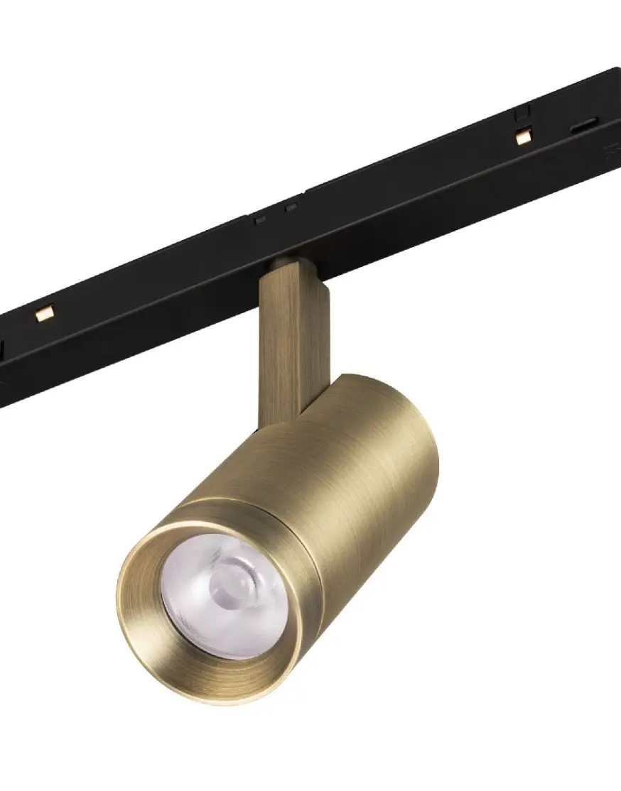 Трековый магнитный светильник Arlight MAG-ORIENT-SPOT-R45-12W Day4000 (BR, 24 deg, 48V) 042259