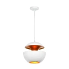 Подвесной светильник Loft IT LOFT2213-A