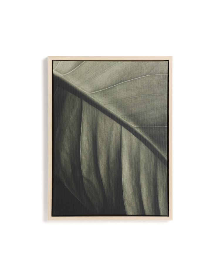 Фотография листа Foliae размер 32,5 x 42,5 см