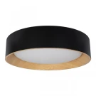 Потолочный светильник Loft IT Coin 10202 Black