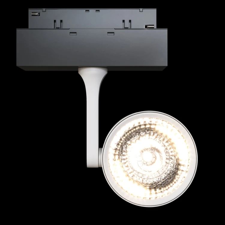 Трековый светильник Maytoni Oko TR024-2-10W3K