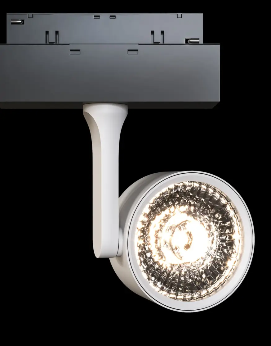 Трековый светильник Maytoni Oko TR024-2-10W3K