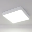 Потолочный светодиодный светильник Elektrostandard DLS034 18W 4200K 4690389134623