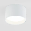Накладной светильник Elektrostandard Banti 4690389183980