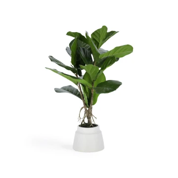 Flower Искусственное растение лирата 60 см Flower Искусственное растение лирата 60 см