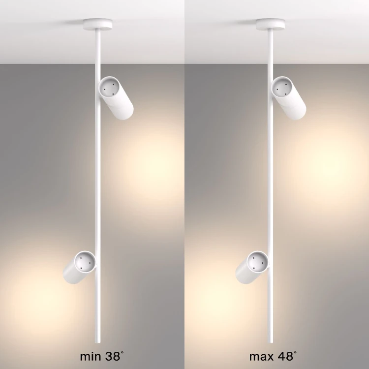 Подвесной светильник Maytoni Elti C021CL-02W