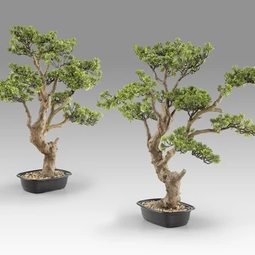 Sokan - bonsai 81cm Искусственное растение из 2 предметов